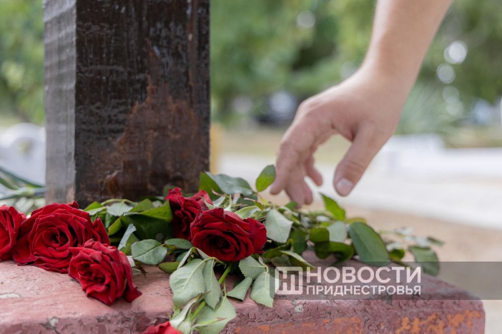 31 ����, ������� ���� ���