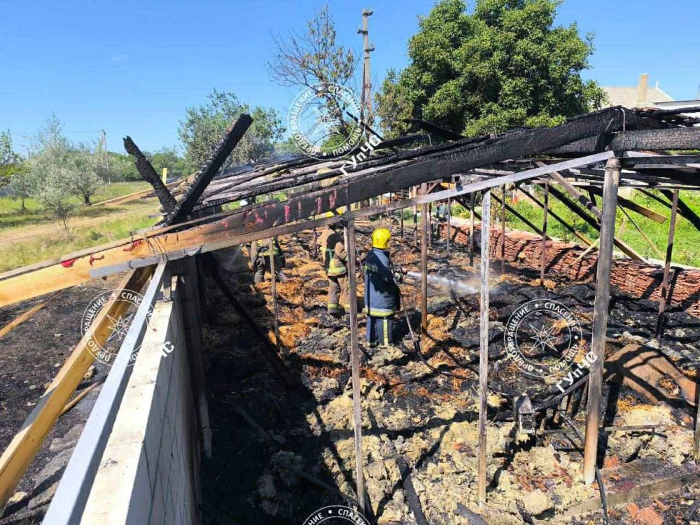 � �������� ������� �������� ��������� ������ � ������� �����