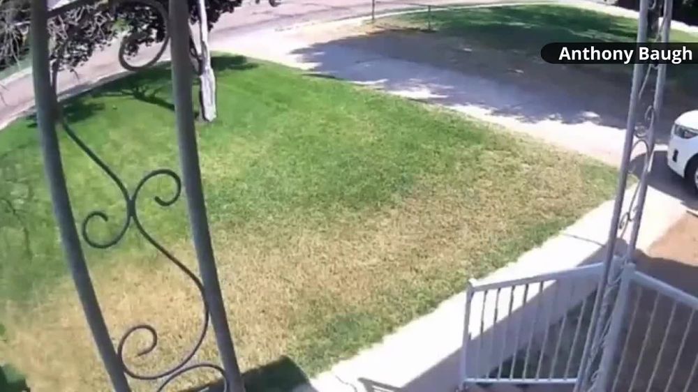 � ��� ������������� ������� ������ ����� �� ������� �������� ����