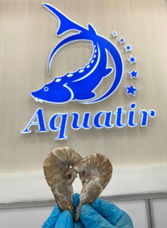 ������� � ��������� �� ����� �������� �������� � ������� � ��������