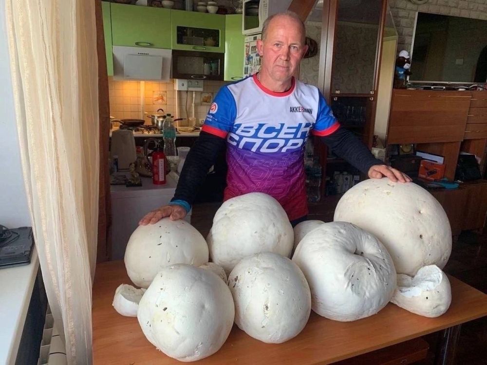 ������ �������� ����� �� �������� � ��� � ����� ���������� �����