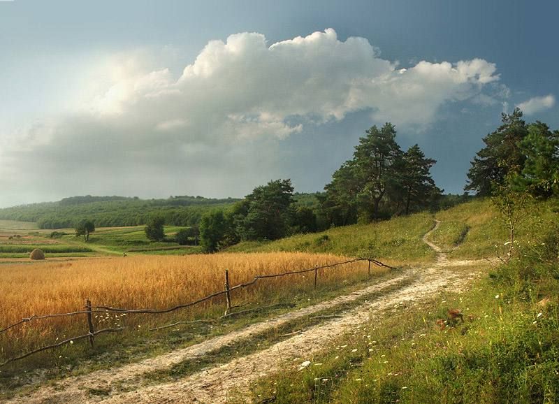 ���� �� ����� �������� ������� ������� ������� ����