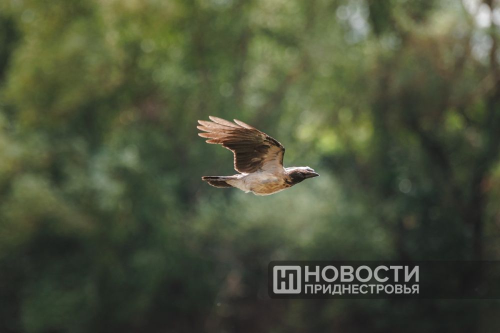 �������������: 1 � 2 ������� � ������������� ��������� ������������ ����������� ������� +33 �� � ����