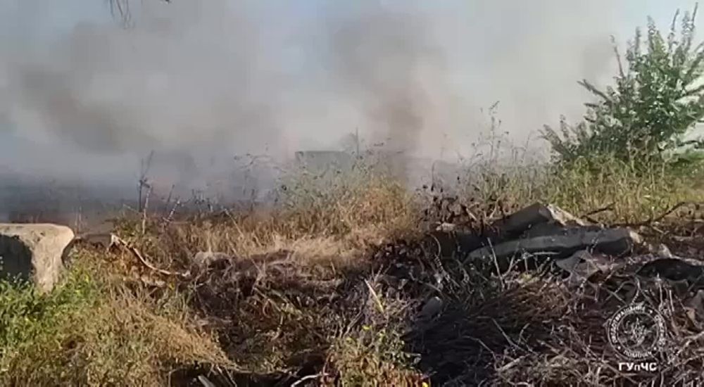 ������� ����������� � ����