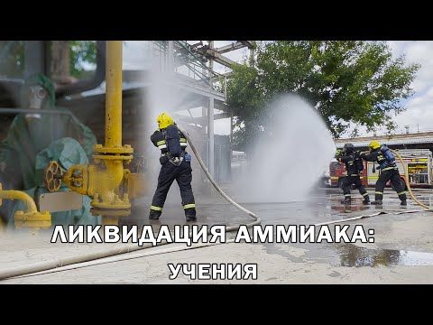 ������ ������� � ���������! ���������� � ����������� ����������� � �������� �������-����������� ������ � ���������