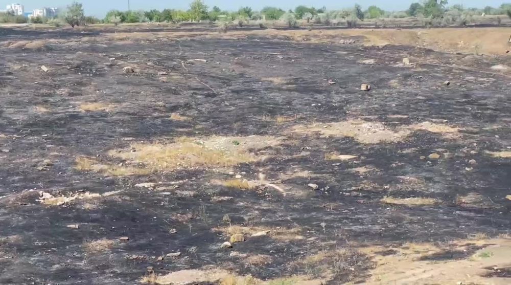 ������ �� �������� ���������� ����� ���� ������