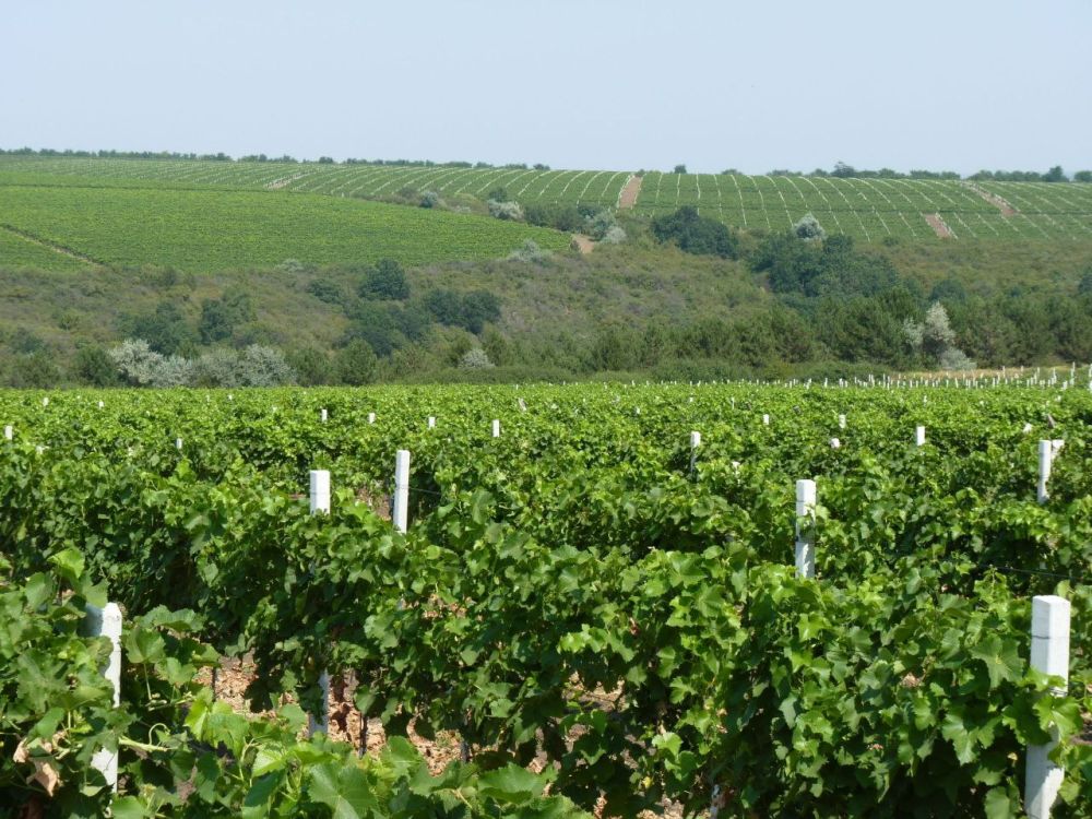 � 1 �� 3 ������� � ������������ ������ ����� ��������� ��������� �������������