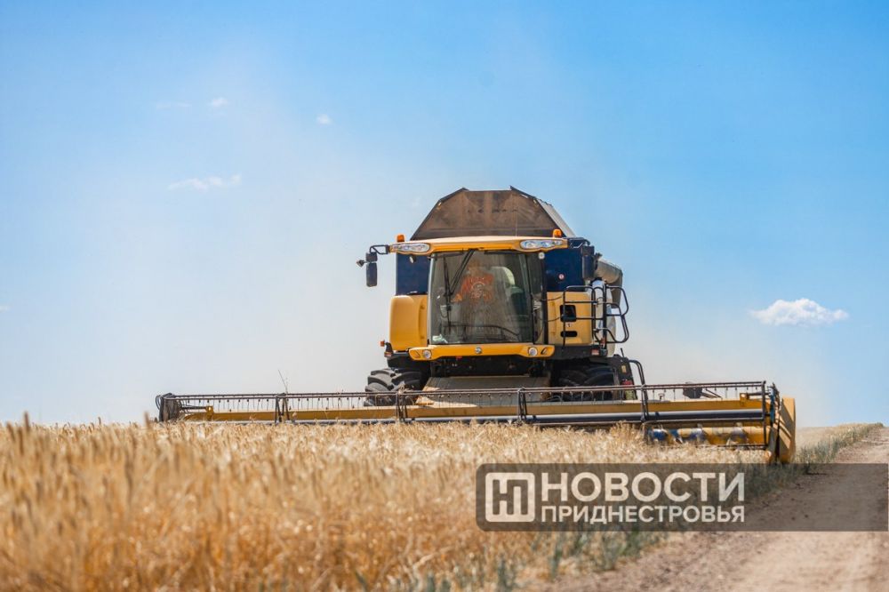 Цифра дня: аграрии собрали 357 тысяч тонн зерновых