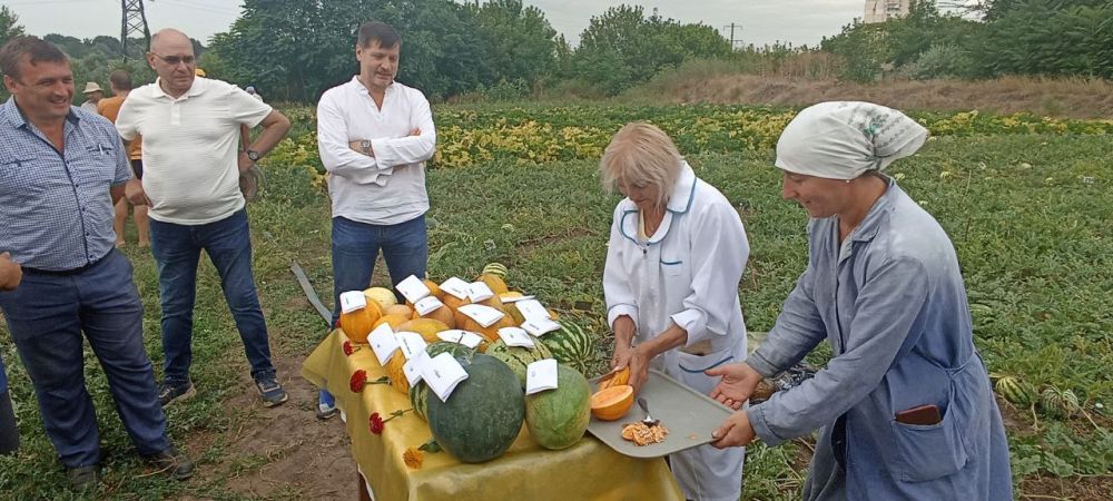 �������� ������-��������� ����������������� ������ ������������� �������� ������� � ������