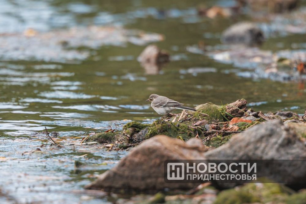 ���� ���� ���� ����� ������ �� ��������� 12 ���