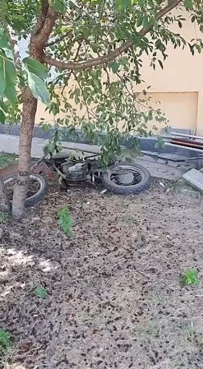 ���������. ������� " �������" �� ���������. ������� � ������� �������� �� ��������. � ���� ������ ������� �� ��������� ������ � ����� � ������. ����� �� ���������!