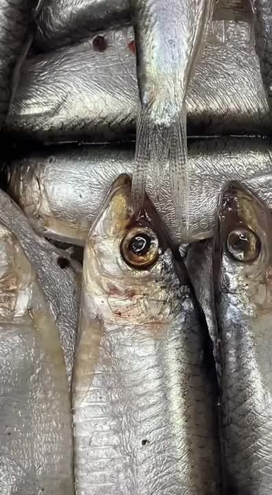 В магазине «Акватира» в Григориополе чаще всего покупают селедку, хамсу и скумбрию