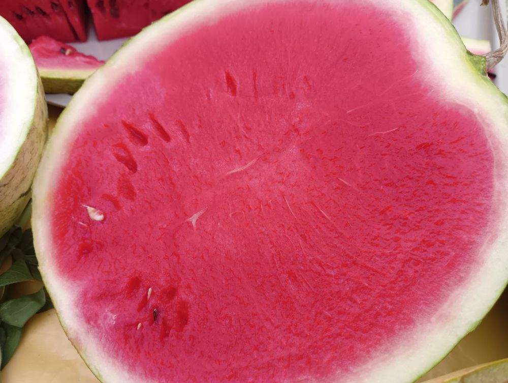 ��������������� ������������ �������� ����� ����� ������ � ����