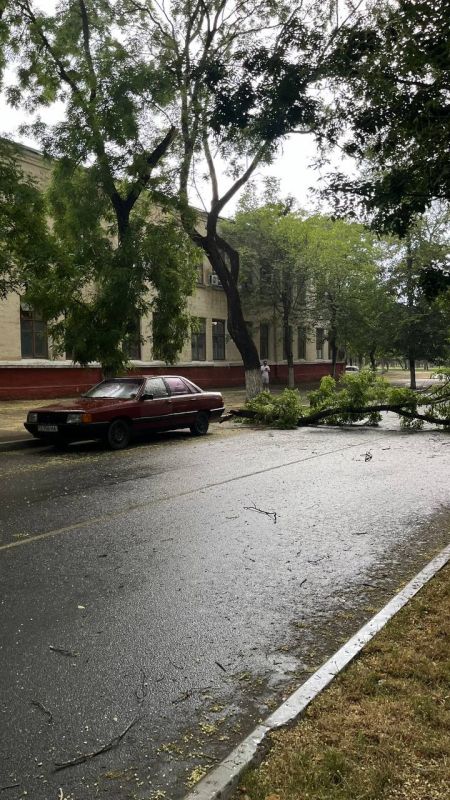 � �������� �� ���� ������� ����� ����� �� ������