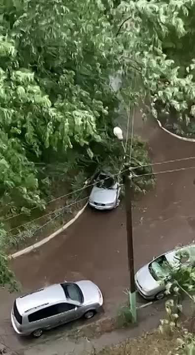 � ��� ����� ������. ������ ��������� ����������