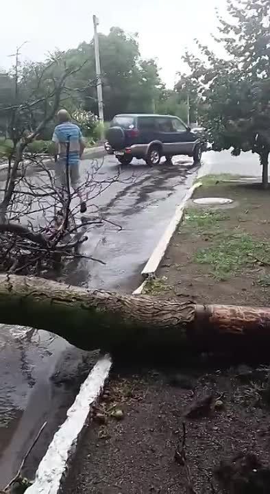 ������ ��������� ������� �� �����