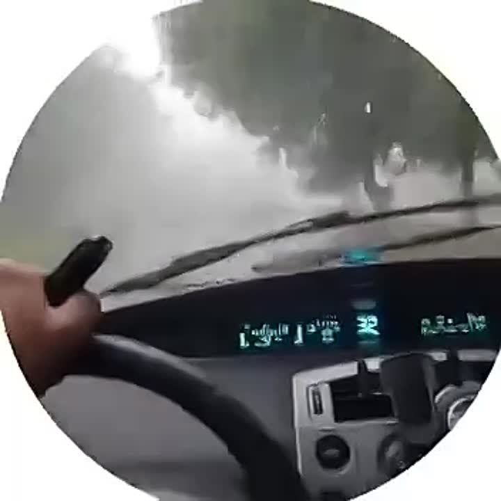 � ��������� ����������� ��������� ������ ����� ����� ����� �����������