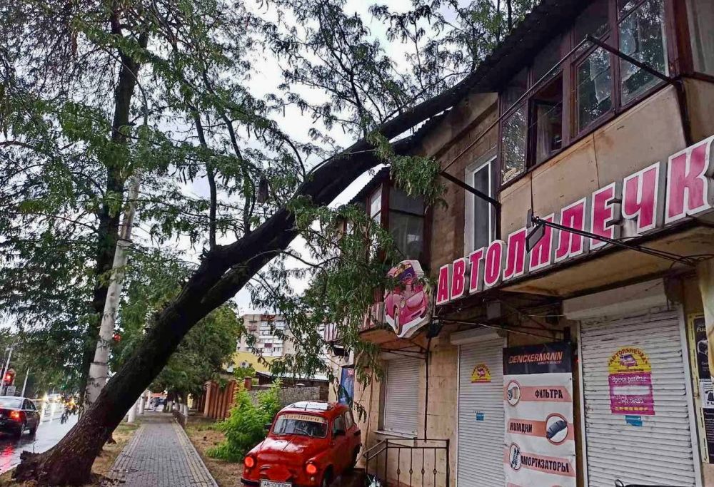 � ��������� ������ ����� �� ����� ��� �� ����� ����� ���������