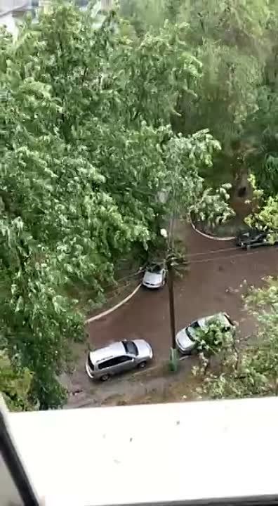 � ��������� �� ������ ����� ����� �� ������