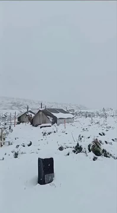 � ��������� ���� ���� � ������� ������ ������ ������ ��������