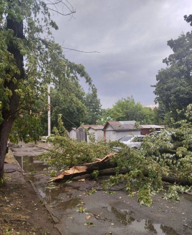 � ��������� ����� ���������� ��������, ���� �����, ��� �������� �������, � 8-� ��������� ����� ������ �����