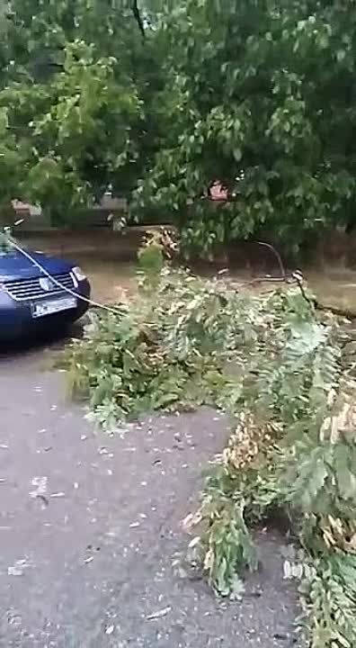 ���������, ���������� 13 ������� �������