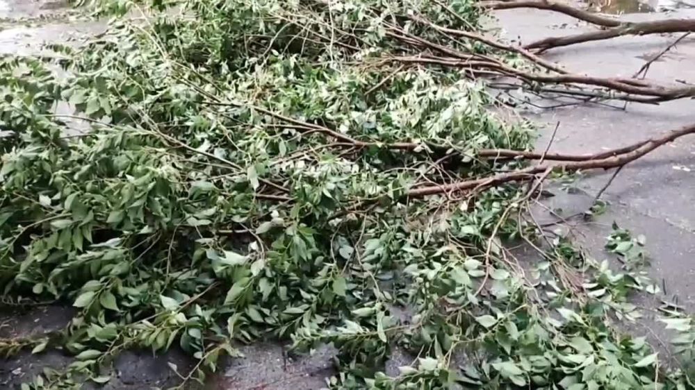 ��� ����� � ���������. ������ ������� � ����� � ��������� ��������