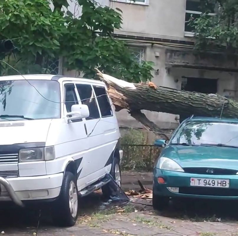 ������� �������