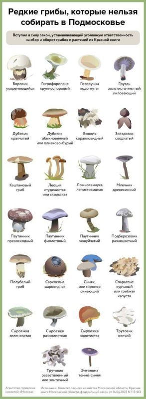 � ������ ����� �������� � ������ �� 4 ���� �� ���� ������