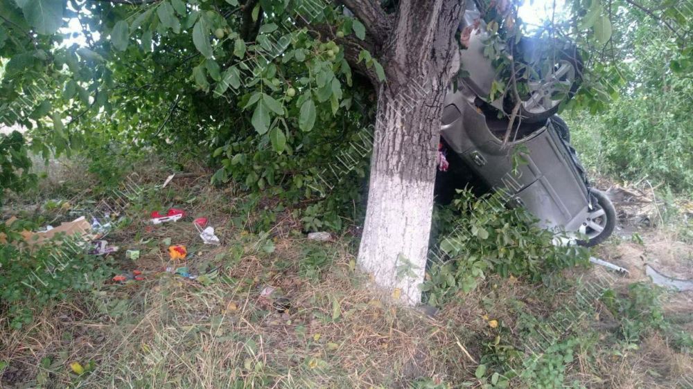 �� ���������� � �����������