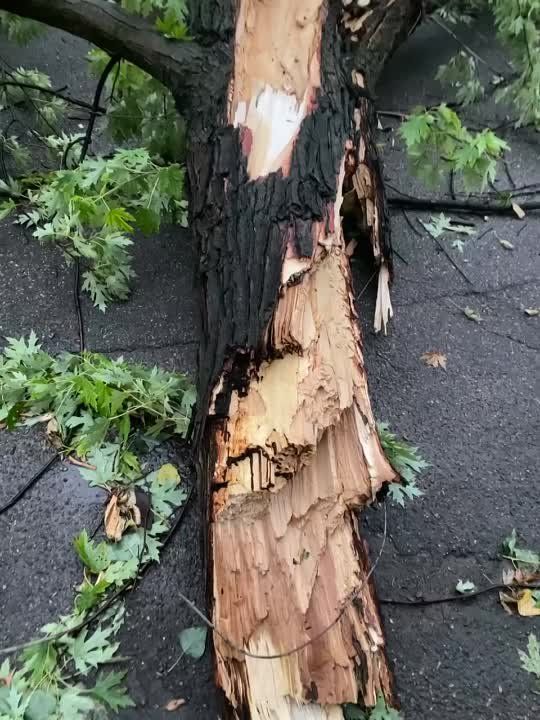 ����������� ��������� �������� � ������� ������ � ������ � ���������