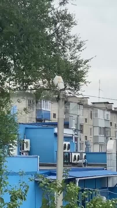 ������ ����� ������������ � ������������ �������� � ���� ������� ����� � ���� � ���������