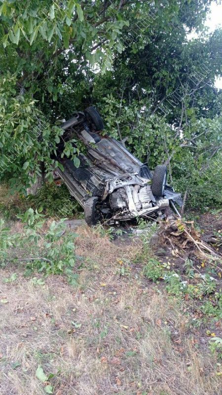 �� ���������� � �����������