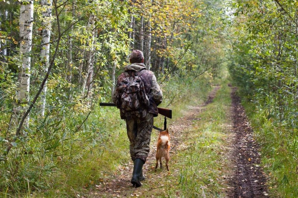 � ������������� ����������� ����� ������������ � ���������� �����