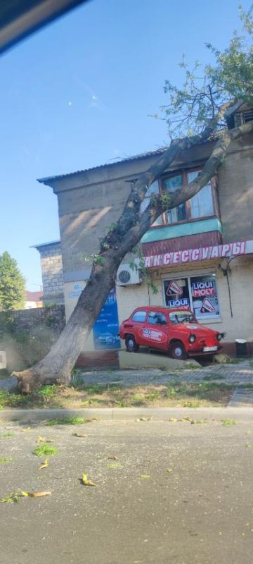 ������������� �������� ������� ������� �� ��� ������