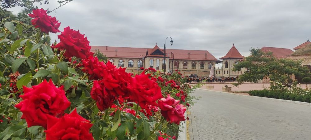 ��� �������� ��������� ����� �� ����� �� � ��, 6 ������� ��������� ���������� ����������, ������� ��������������� �����