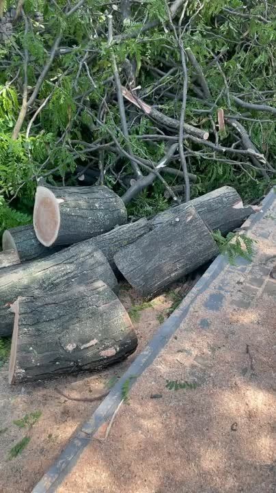 � ��������� ������� ��������� ����������� ���������� �����