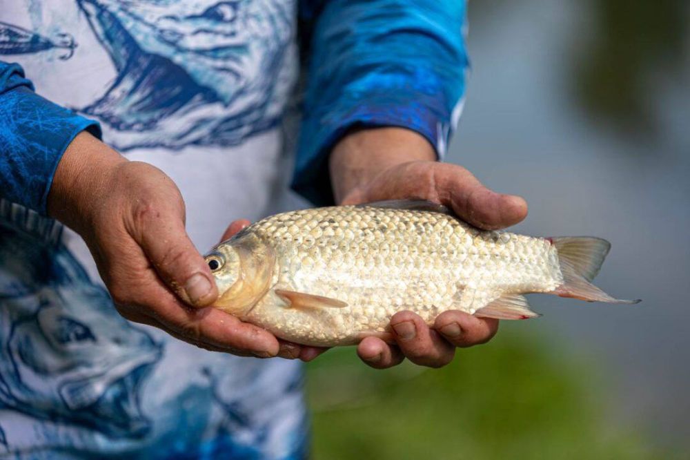 ���������� ���� ����� ������ ��������� �� ����� ������ ������� � ������ � ������ ������� ���������, ���������� ��������� ��������� 1-�� ��������� ��������������� �������