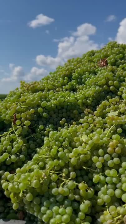 �� ���������� ������������� �������� ��������