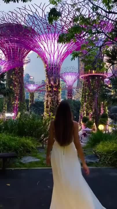 ���� � ������ � ��������� � ���� �� ����� �������� ���� �� �������