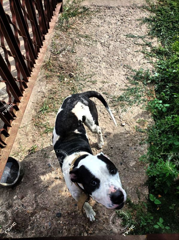 ���� �������. ���� �������� ����� ����� �� ������ ��������� �� ������ �� ������������� �����. ������ ���� ���� ��������, ��...