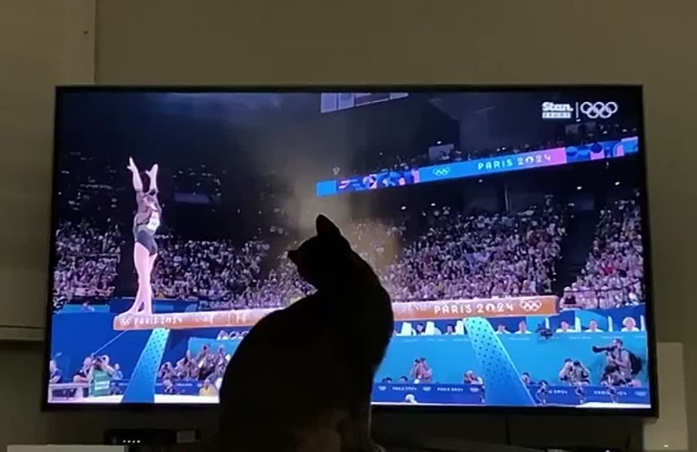 ��� ���� ��������� ��������� �� ������� �� ���������