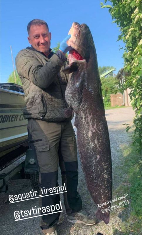 ���-�� ������, ��� ������� ������� �� ���������