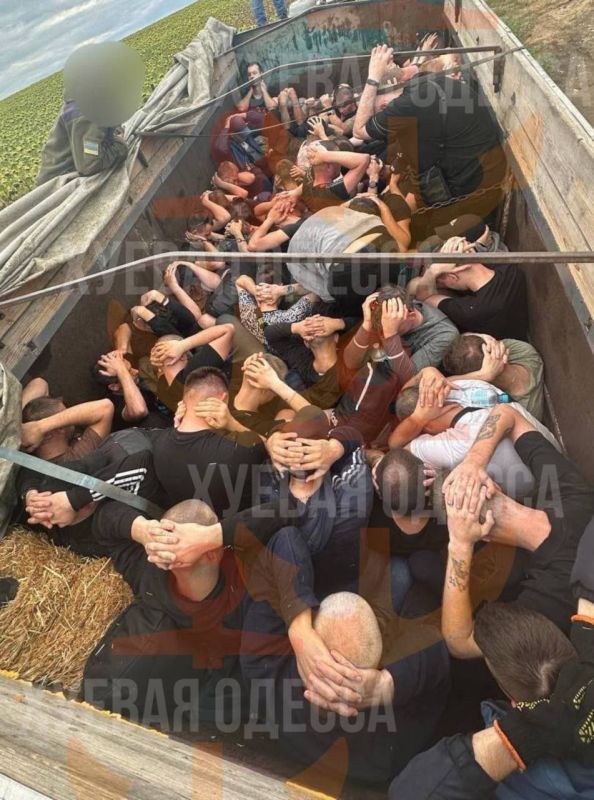 � �������� ������� 42 �������� �������� ���������� � �������������, ����� �������� ������ � ��������� ���� ������