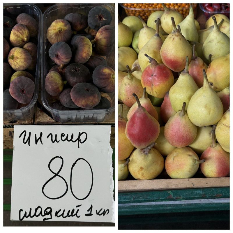 �� ����������� �� ����� � ����� � �����