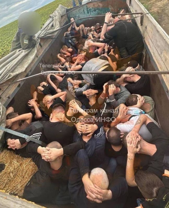 ����� �������� ����� � �������