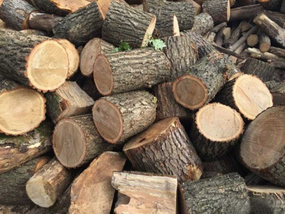 � 15 ������� � �� ����� ���� � ������������� ������ ���������� ������� �� ����� ��������� ��������� (�����, �������, �����)