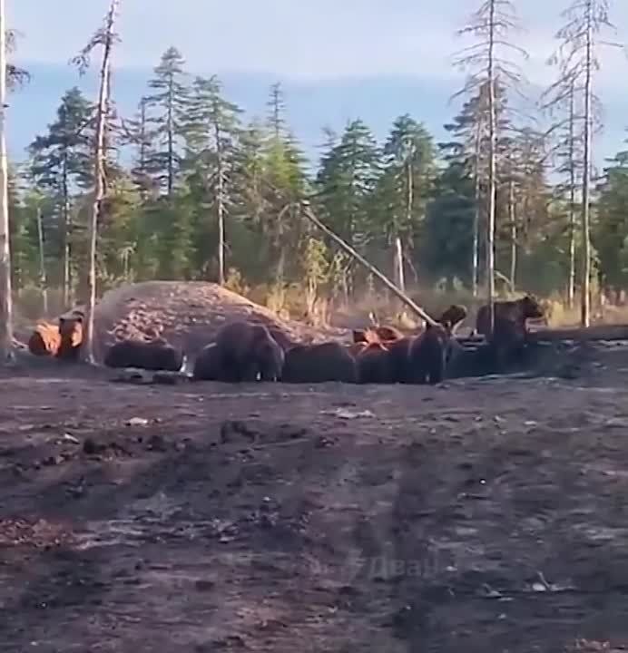 "����� ������!": ����������� ������� �� ���� �������� �� ���� ������� �������