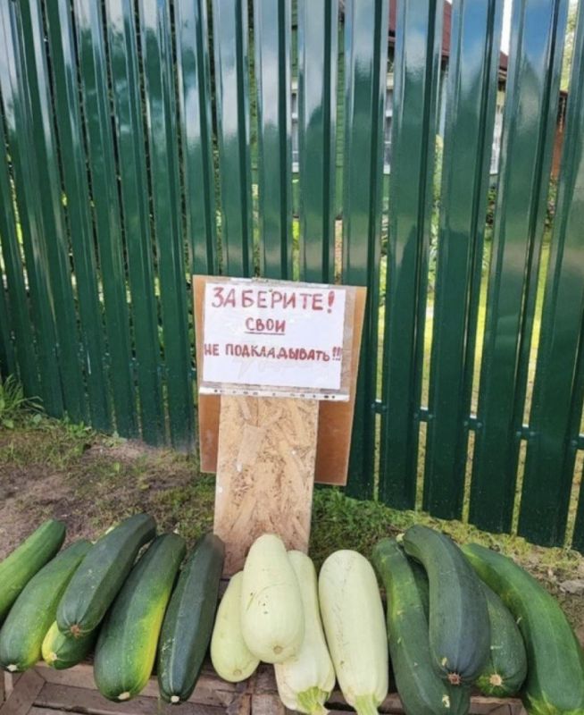 ����� ������� �������� �������� ������