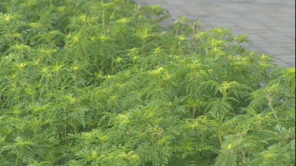 � �������� � ��������� ������� � ������� �����